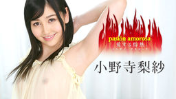 [無修正]パシオン・アモローサ ～愛する情熱 5～【小野寺梨紗】