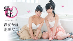 [無修正]蝶が如く ～ピンク通りの二輪車ソープランド8～【須藤なこ】