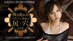 [無修正]咲き乱れるパイパン美女の尻穴【心有花】